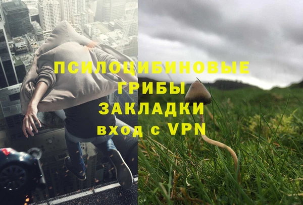 мяу мяу кристалл Осинники