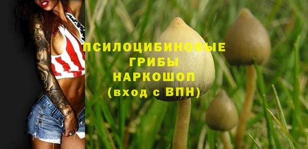винт Остров