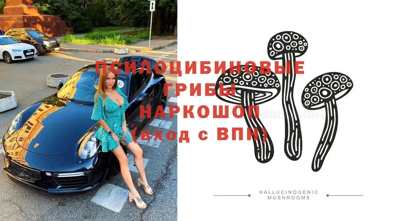Галлюциногенные грибы прущие грибы Адыгейск